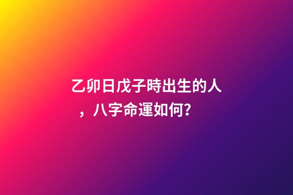 乙卯日戊子時出生的人，八字命運如何？
